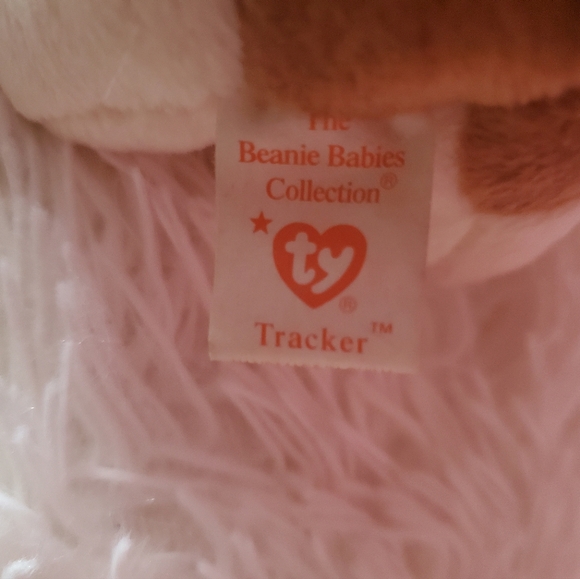 Ty Beanie Babies Tracker The Basset Hound - Picture 7 of 7